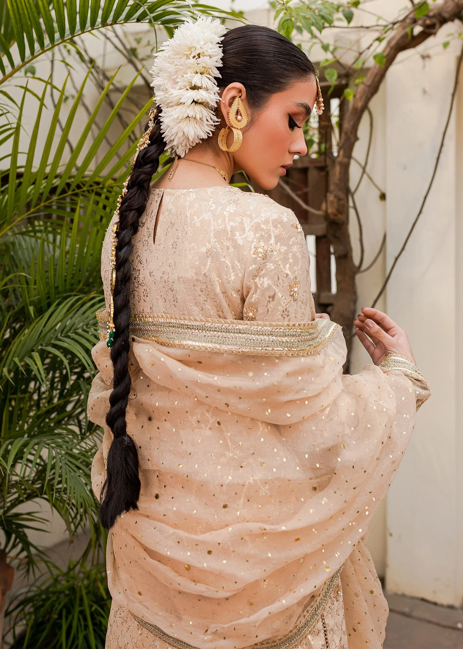 Shama - Image 4