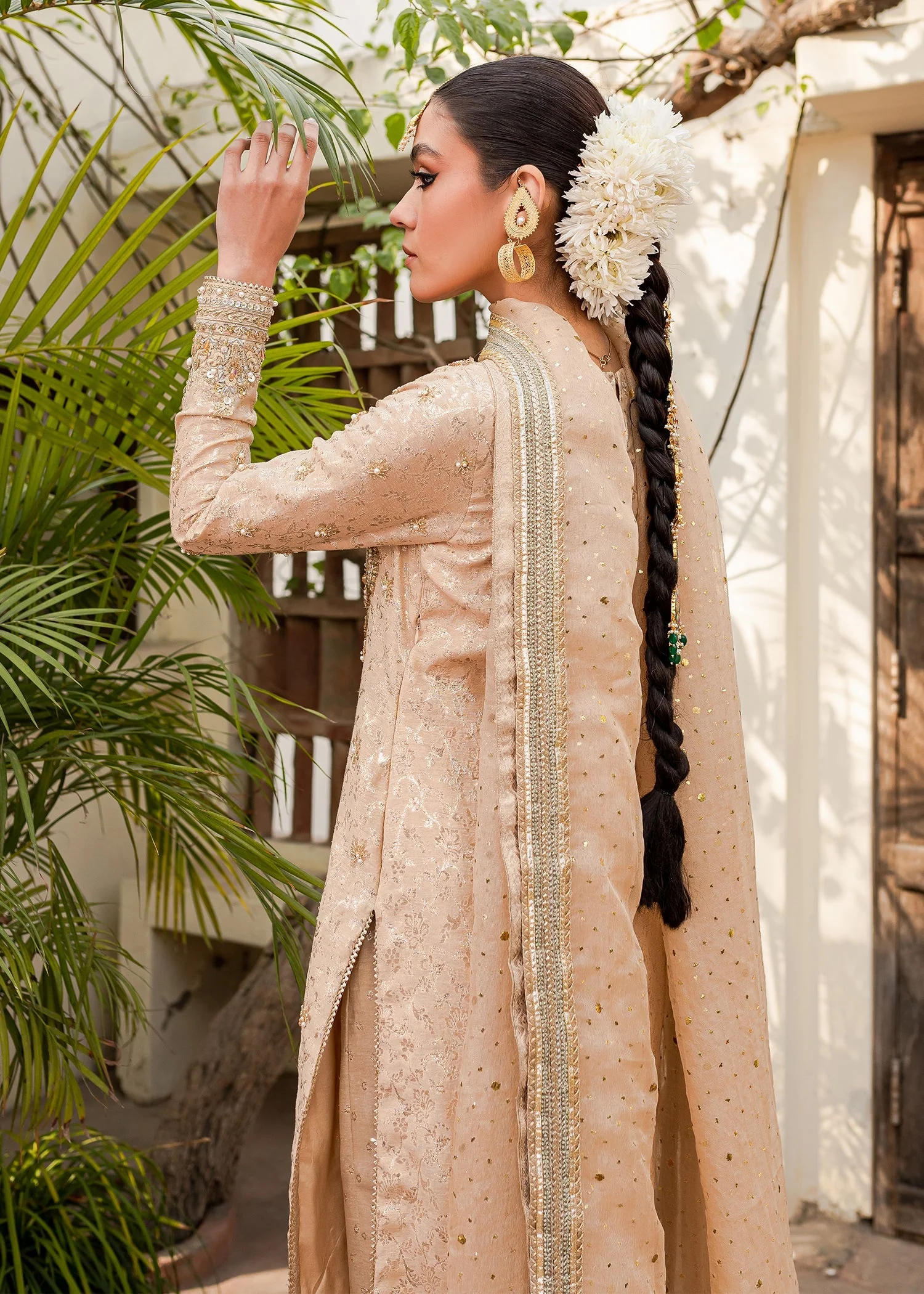Shama - Image 6